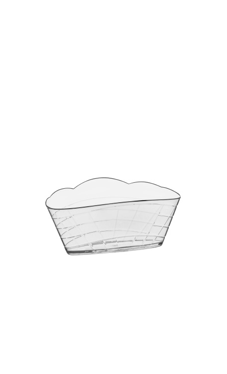 Concha Boccati (transparente)