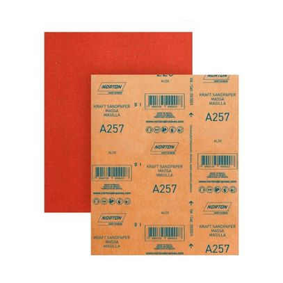 LIXA MASSA A257 120 NORTON(50)