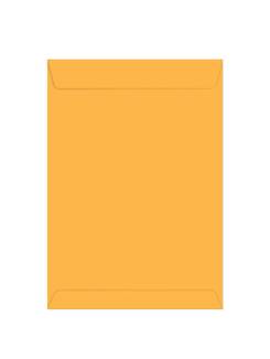 ENVELOPE SACO OURO C/10 80G - 22X32 - UN - VIA BRASIL