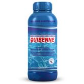 ALGICIDA MANUTENCAO 1lt QUIBENNE