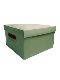 CAIXA ORGANIZADORA MEDIA C/ TAMPA - LINHO - 2205 - VERDE OLIVA - UN - DELLO