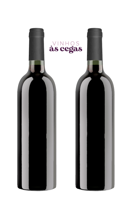 Combo Vinhos às Cegas "Novo x Velho Mundo" (2 garrafas)