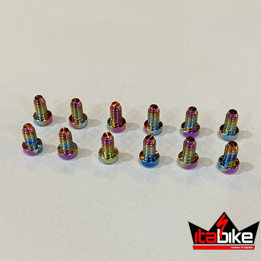 Parafuso em Titânio Para Fixar Disco de Freio Rainbow