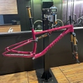 Quadro Specialized Epic Evo com Kashima Vinho