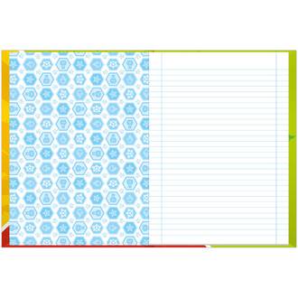 CADERNO BROCHURAO CAPA DURA 80FLS - 4062255 - PAT CANINA - PCT 5 - FORONI