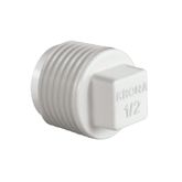 ROSCAVEL PLUG 1/2 KRONA