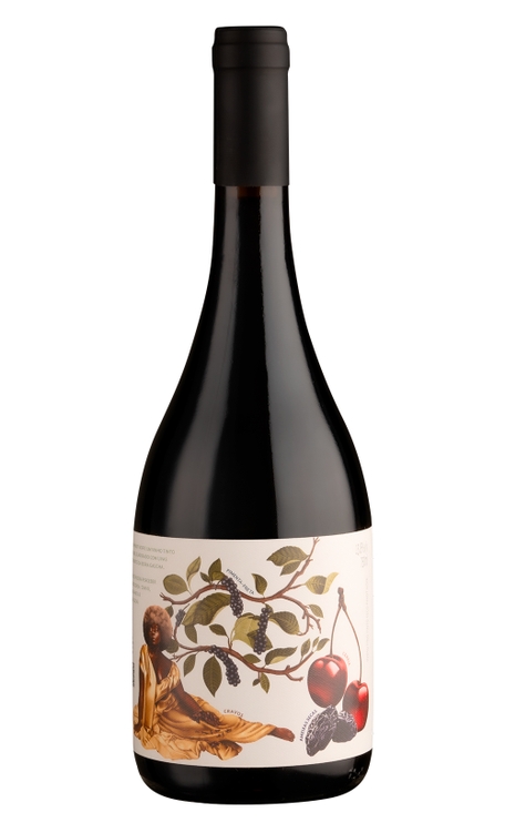 Vinho Casa Eva Pinot Noir 750ml
