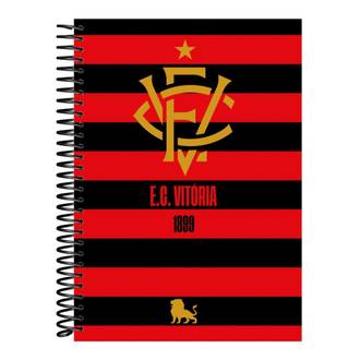 CADERNO UNIV CAPA DURA 10X1 160FLS - EC VITORIA / 6531 - UN - BAHIA ARTES
