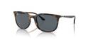 Descubra o Estilo Exclusivo dos Óculos de Sol RB4386 710/R554