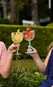 Taça para Gin Boccati 550ml (haste rosa)