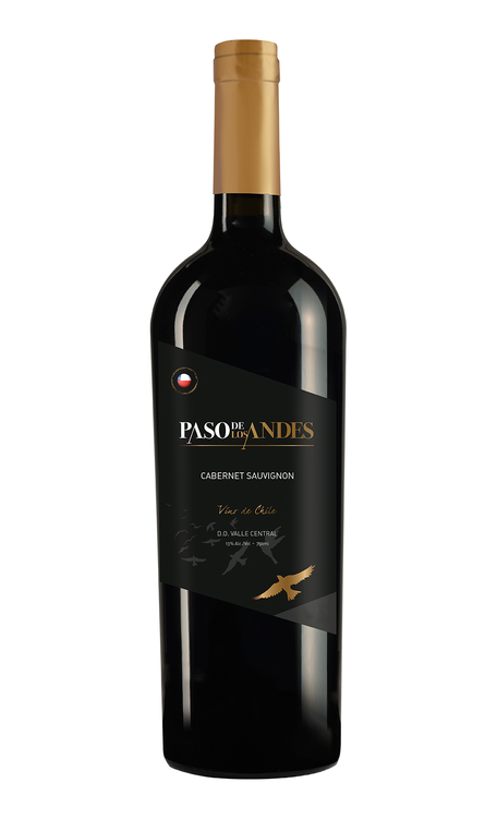 Vinho Paso de Los Andes Cabernet Sauvignon 750ml