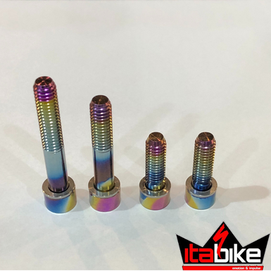 Parafuso em Titânio Para Fixar Freio Pinça 160/180MM Rainbow