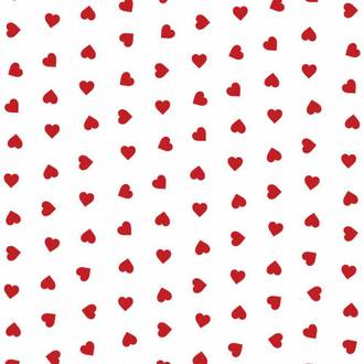 SACO TRANSPARENTE AMOR VERMELHO C/50 - 15X22 - UN - GALA