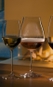 Conjunto 2 Taças Riedel Veritas New World Pinot Noir | Champagne Rosé