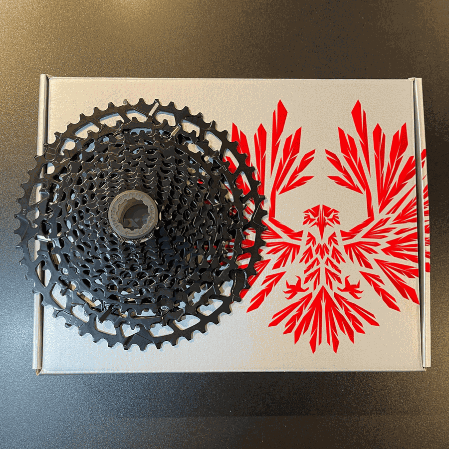 Cassete Sram Original NX PG-1230 Eagle 11-50 12V 