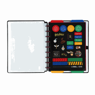 CADERNO INTELIGENTE MEDIO 75739-24 - HARRY POTTER - UN - JANDAIA
