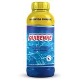 ALGICIDA CHOQUE 1lt QUIBENNE