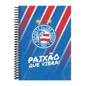 CADERNO UNIV CAPA DURA 10X1 160FLS - EC BAHIA / 6519 - UN - BAHIA ARTES