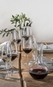 Decanter Riedel Performance