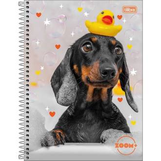 CADERNO UNIV CAPA DURA 12X1 240FLS - ZOOM+ FEM - PCT 4 - TILIBRA