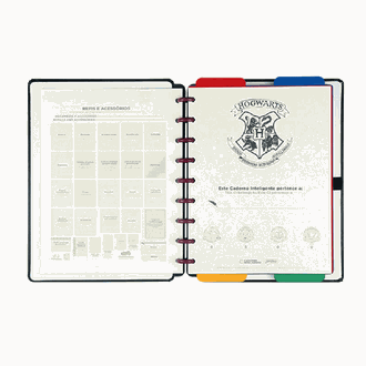 CADERNO INTELIGENTE MEDIO 75739-24 - HARRY POTTER - UN - JANDAIA