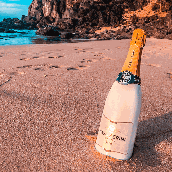 ESPUMANTE ICE BRANCO DEMI-SEC (750ML)-CASA PERINI - 3