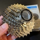 Cassete Shimano Original 105 11V CS-R7000 - 2