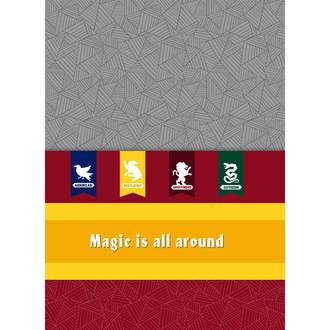 CADERNO UNIV CAPA DURA 10X1 200FLS - HARRY POTTER - PCT 4 - JANDAIA