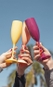 Taça para Espumante Boccati 210ml (rosa cristal)