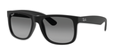 OCULOS RAY BAN RB4165L 622/T