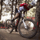 Pneu MTB MAXXIS ASPEN ST Tubeless Preto - 11