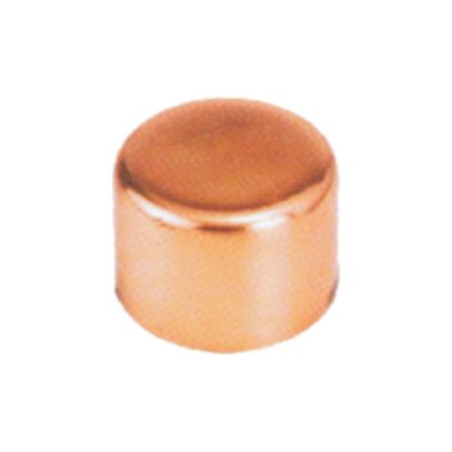COBRE TAMPAO 22mm RAMO