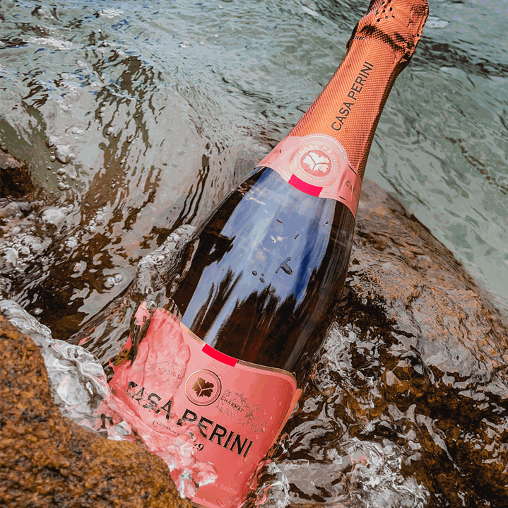 ESPUMANTE BRUT ROSE (750ML)-CASA PERINI - 3