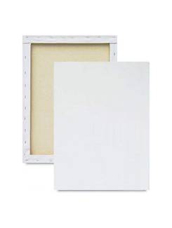 TELA PARA PINTURA 8306 - 30X40 - UN - SOUZA