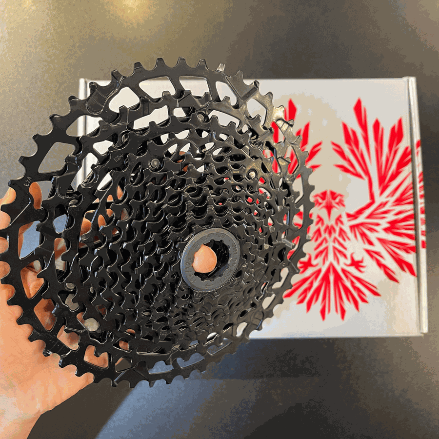 Cassete Sram Original NX PG-1230 Eagle 11-50 12V 