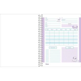 CADERNO COLEGIAL CAPA DURA 10X 160FLS - STITCH - PCT 4 - FORONI