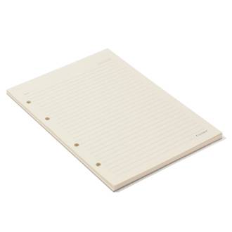 REFIL PAUTADO 80G 17X24 40FLS - UN - CICERO