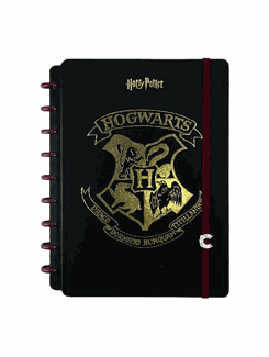 CADERNO INTELIGENTE MEDIO 75739-24 - HARRY POTTER - UN - JANDAIA