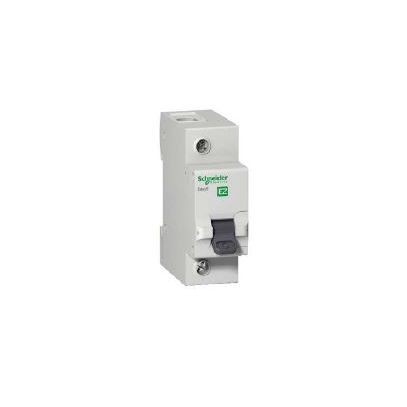DIN SCHNEIDER EASY9 3KA .MONO C 100A EZ9F33191