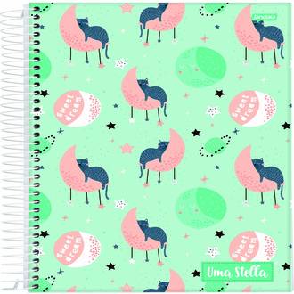 CADERNO UNIV CAPA DURA 12X1 192FLS - STELLA - UN - JANDAIA