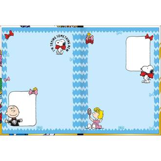 CADERNO COLEGIAL COSTURADO 160FLS - 384071 - SNOOPY - PCT 4 - TILIBRA