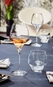 Taça Arcoroc Open'Up Universal Tasting 400ml