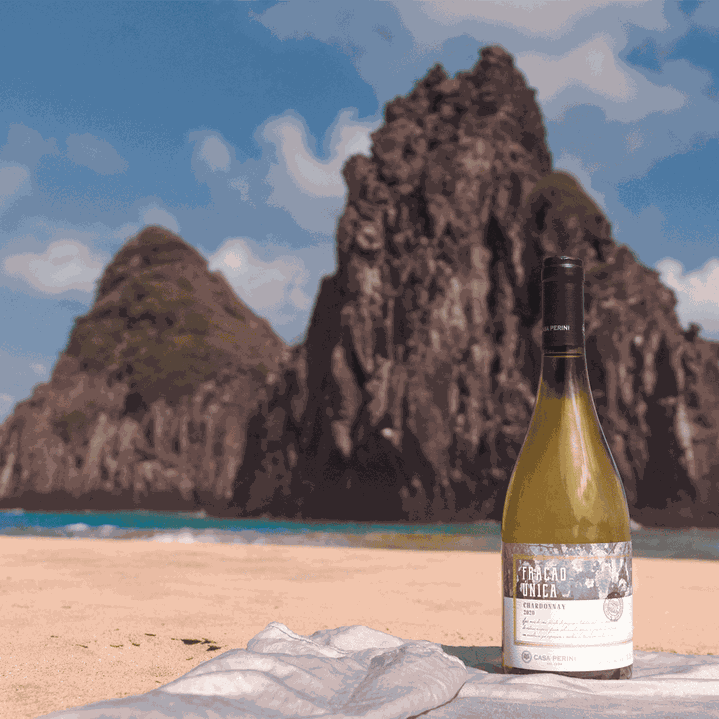 VINHO BRANCO SECO CHARDONNAY (750ML)-FRACAO UNICA - 2