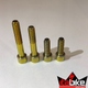 Parafuso em Titânio Para Fixar Freio Pinça 160/180MM Gold - 1