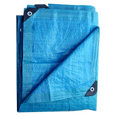 LONA POLIETILENO AZUL 6x4 MISTER