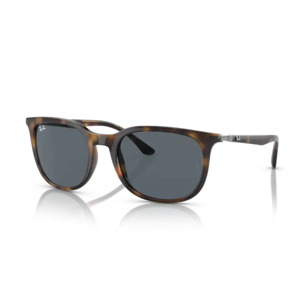 Descubra o Estilo Exclusivo dos Óculos de Sol RB4386 710/R554