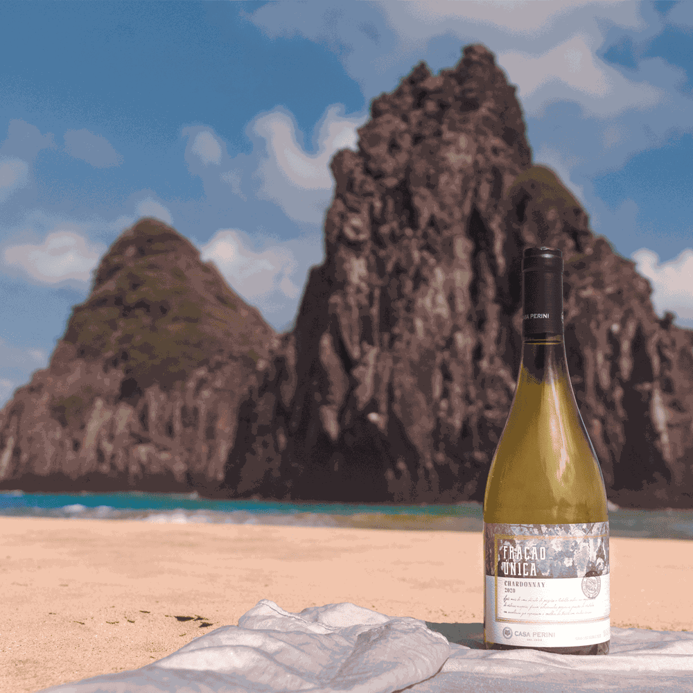 VINHO BRANCO SECO CHARDONNAY (750ML)-FRACAO UNICA