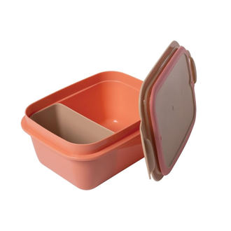 MARMITA C/ TRAVA/DIVISORIA 630ML - MOANA - 17476 - UN - PLASUTIL