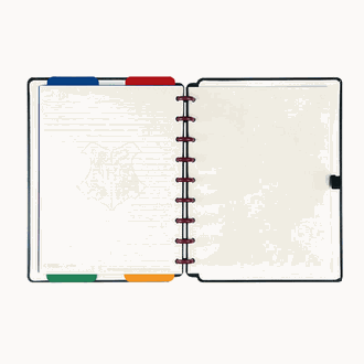 CADERNO INTELIGENTE MEDIO 75739-24 - HARRY POTTER - UN - JANDAIA