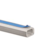 CANALETA SISTEMA DEXSON 10x10 C/ADES S/DIV BR DXN10021